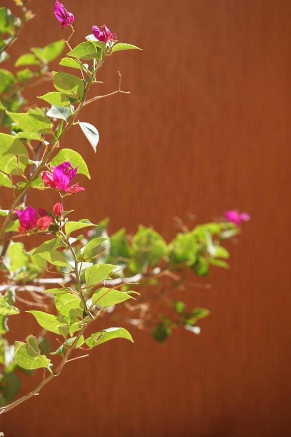 Berber Nomad Kasbah Bed & Breakfast Nkob Dış mekan fotoğraf
